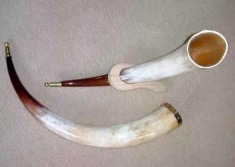 Polished Highland Horns
